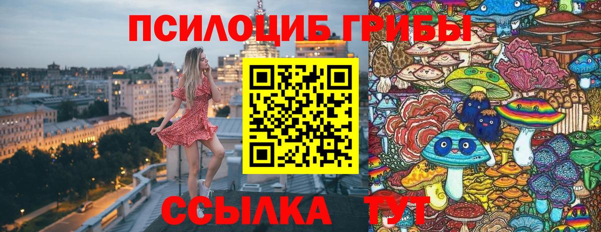 закладка  Псилоцибиновые грибы Psilocybe  Вход с VPN  Морозовск 